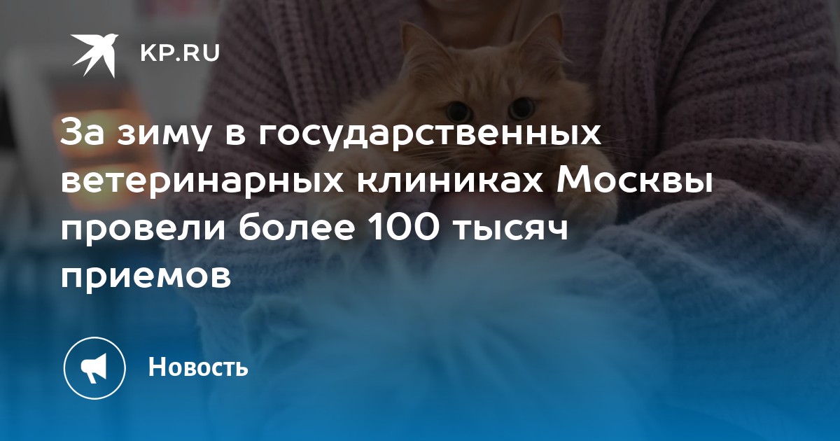 За зиму в государственных ветеринарных клиниках Москвы провели более 100 тысяч приемов