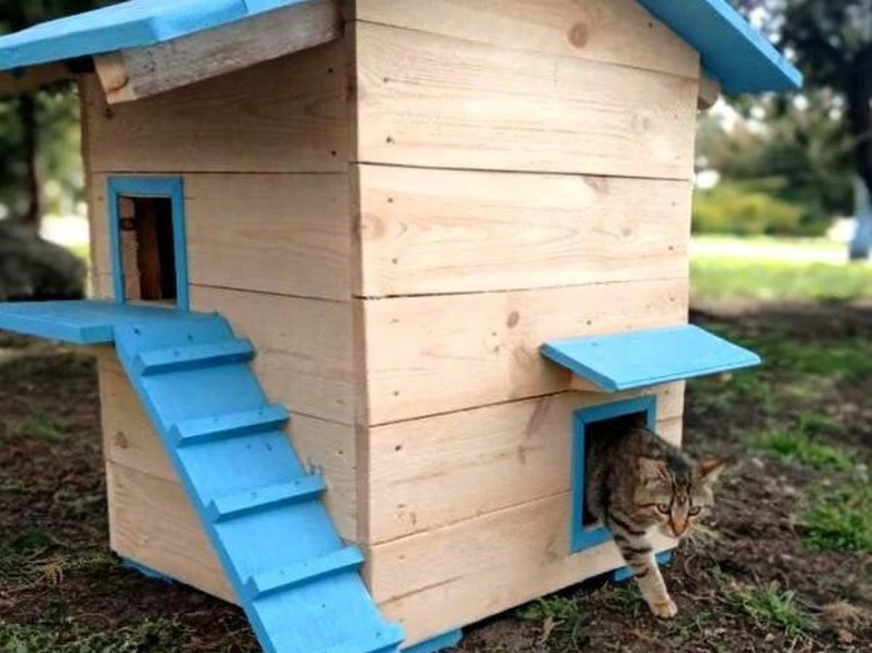 В Анапе установили дом для кошек. Фото: t.me/kurortanapa