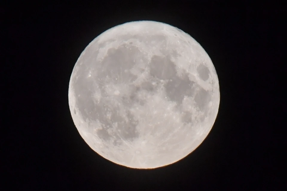 Новосибирцы смогут наблюдать такое астрономическое явление, как полная «луна Червя».