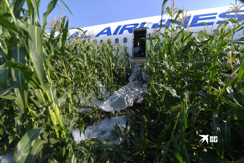 Самолет приземлился на кукурузное поле под Москвой в 2019-м. Теперь про это сняли фильм