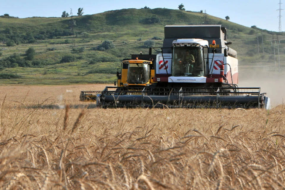 Зерно, выращенное на территории ДНР, обладает большим экспортным потенциалом
