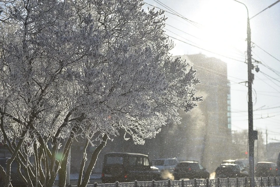 Погода в Туле на 11 марта: туляков ждет небольшой снег