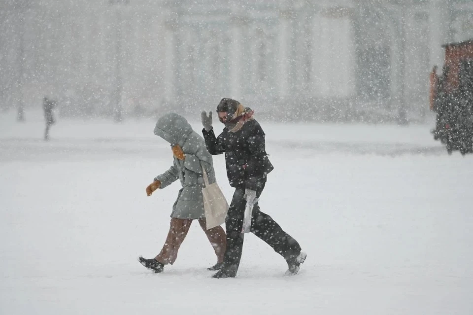 В Москве объявлено штормовое предупреждение из-за ледяного дождя и сильного ветра