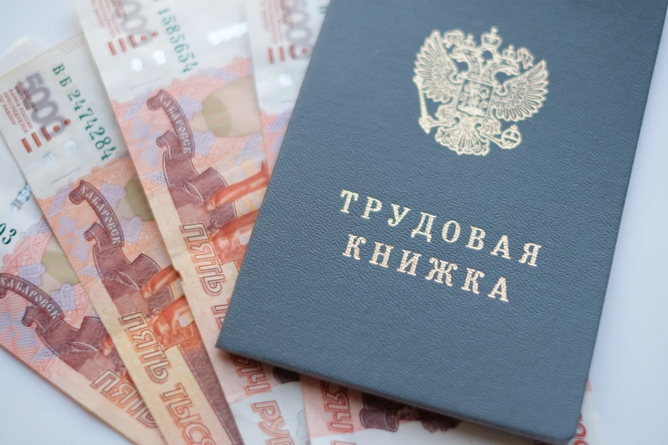 В Петербурге в 2023 году вводят новые меры для снижения напряженности на рынке труда