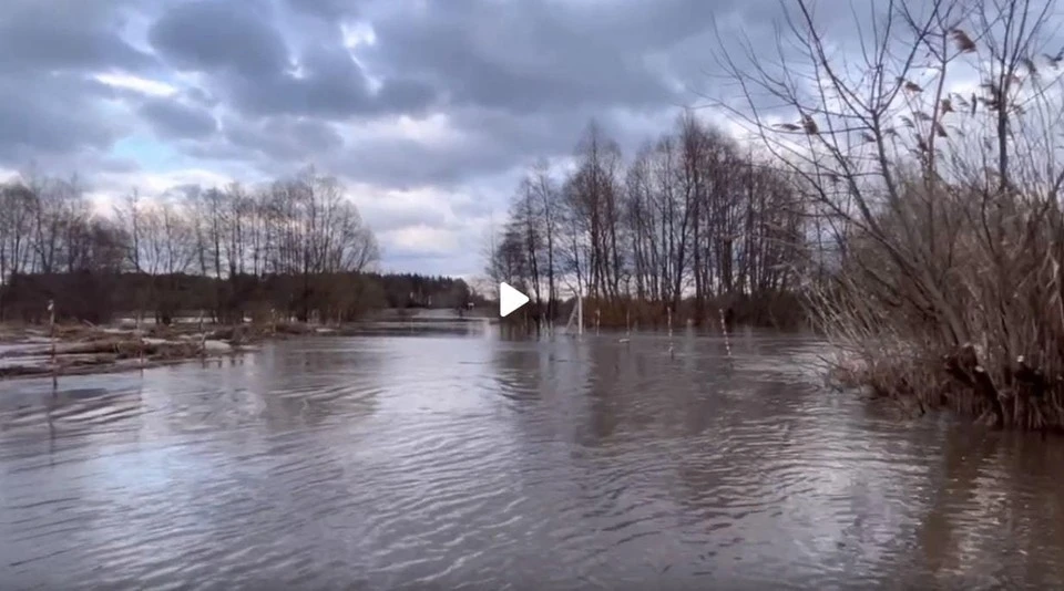 Затопленный мост через Савалу стал одной из причин перевода школьников на дистанционное обучение в Терновском районе.