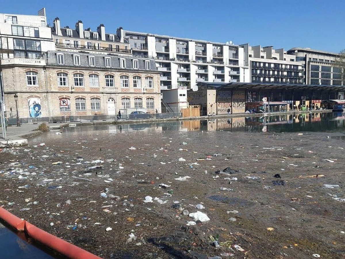 Вонь и полчища крыс: современный Париж погрузился в ужас и грязь XIX века -  KP.RU