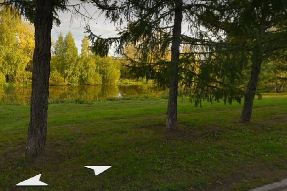 Линейный парк хотят создать на берегу реки Левинки в Нижнем Новгороде
