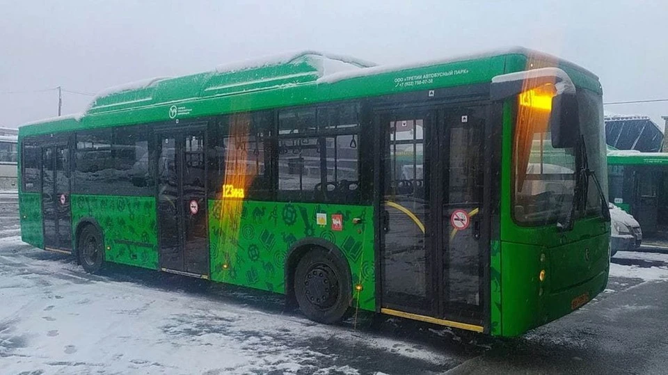 На 123 маршруте будет 16 автобусов большого класса. Фото: t.me/cheltrans