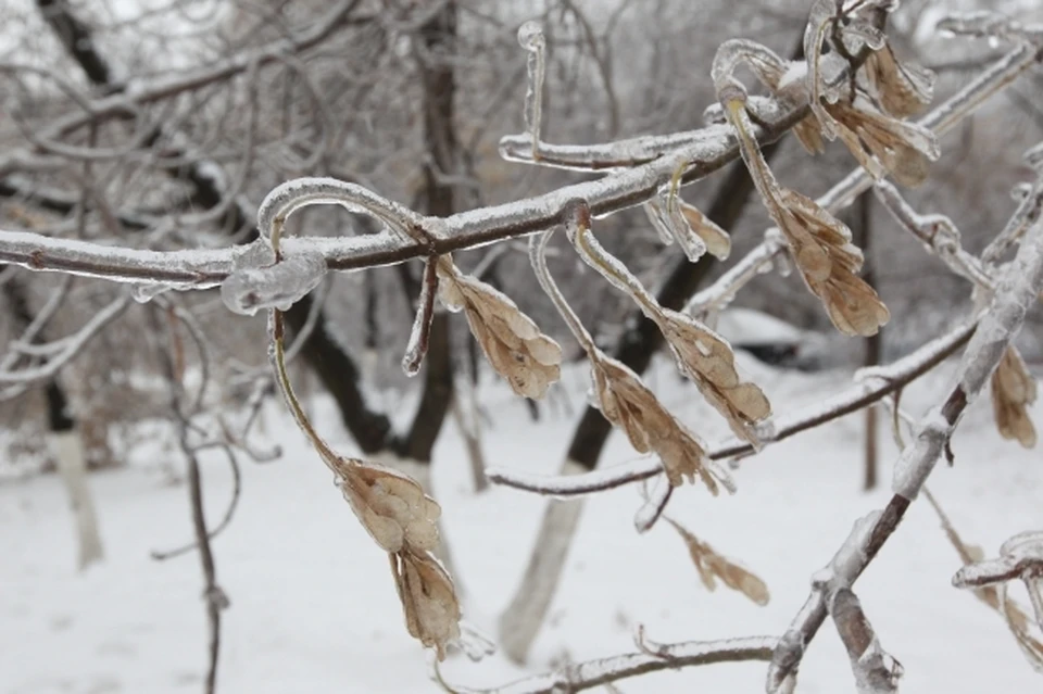 В Новосибирской области в ночь на 20 марта обещают резкое похолодание.