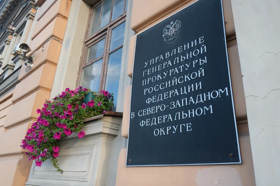 Прокуратура взяла на контроль уголовное дело об убийстве матерью новорожденного ребенка в Петербурге