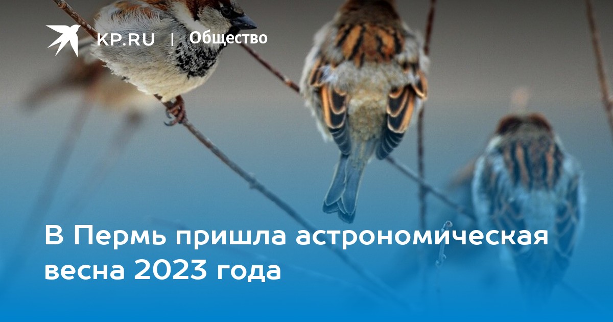 Зимнее равноденствие 2023 какого числа