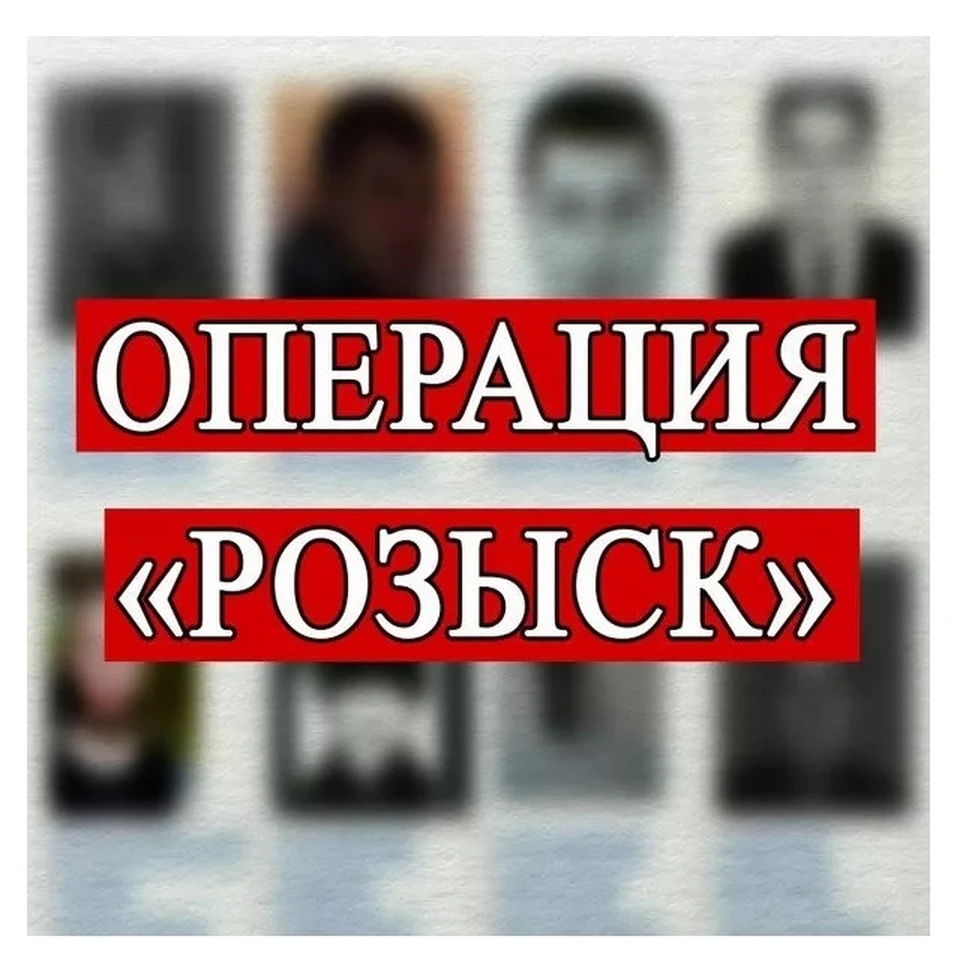 Фото: пресс-служба УМВД России по Костромской области