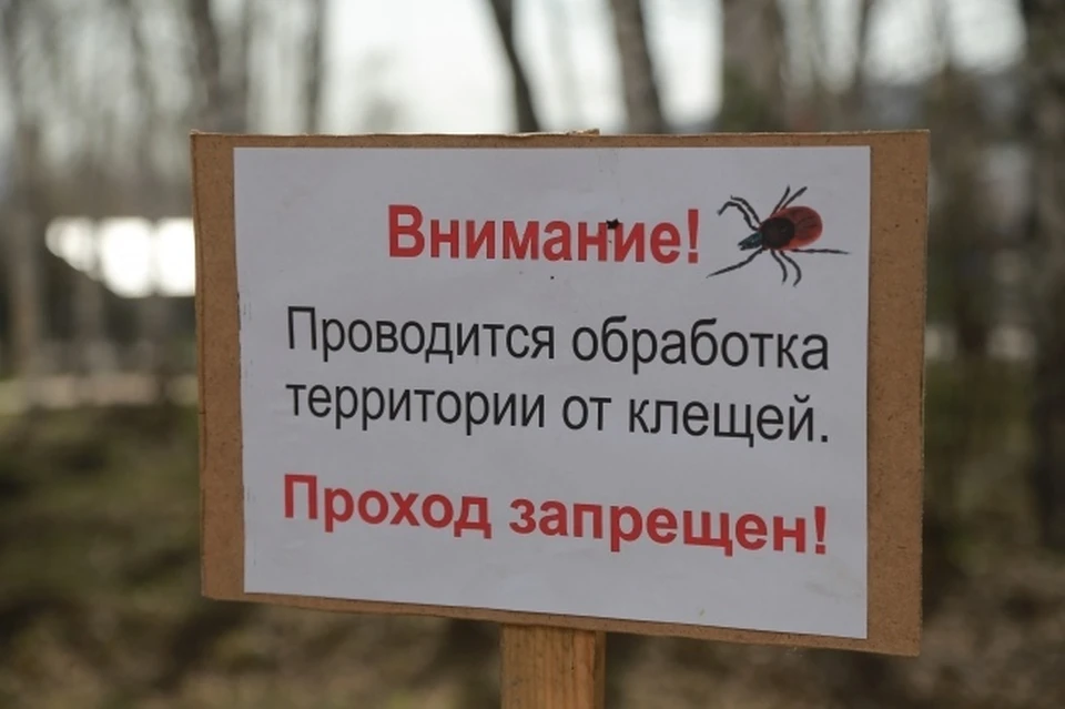 55 жителей Липецкой области заразились от клещей боррелиозом в 2022 году