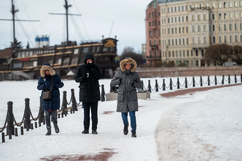 В Петербурге 23 марта объявлен «желтый» уровень погодной опасности из-за сильного ветра