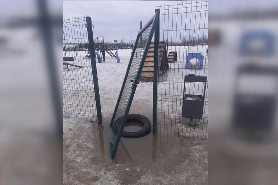 На новой площадке для собак в Ярославле уже сломалась калитка. ФОТО: соцсети