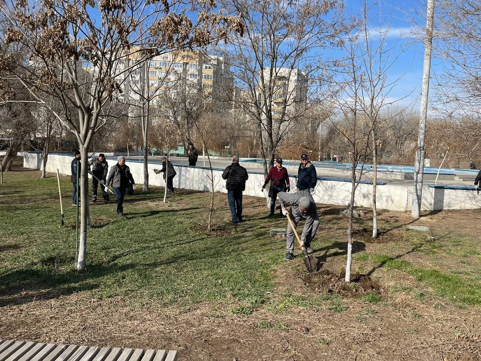 Уборка в парке «Аркадия»