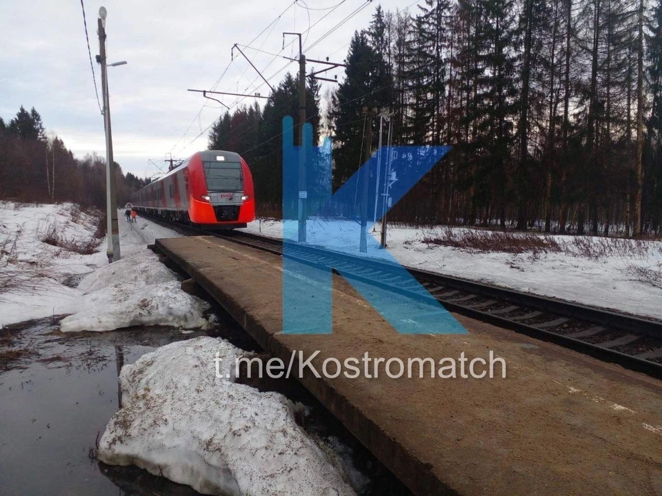 Источник: телеграмм-канал «Костромач»