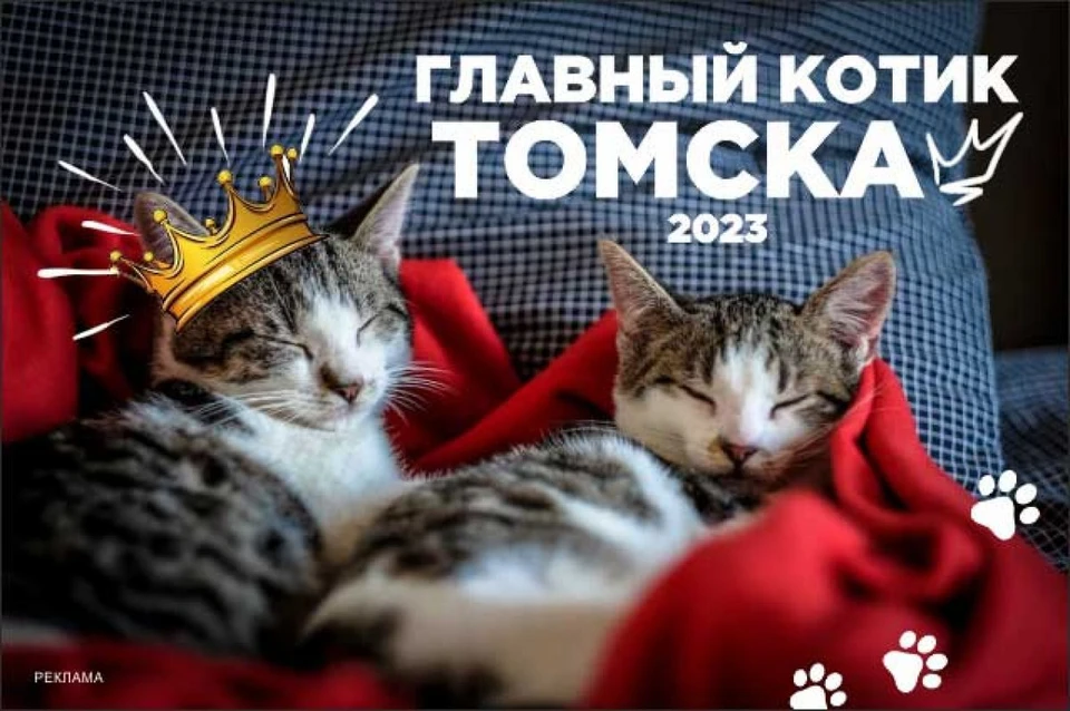 Фото: "АиФ-Томск".