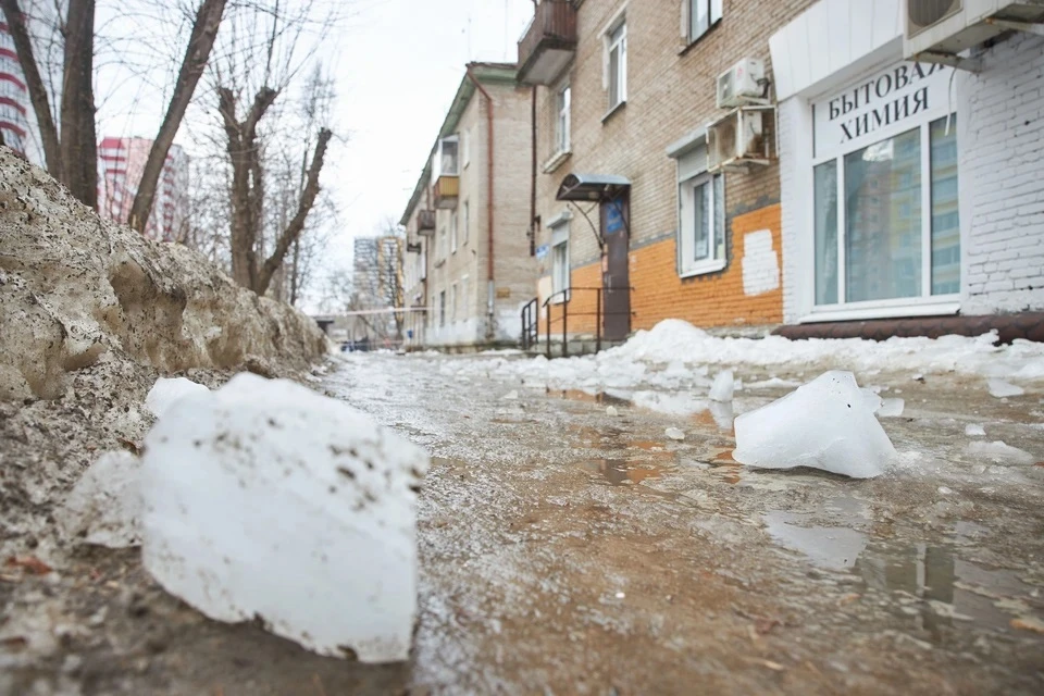 Фото: Николай ОБЕРЕМЧЕНКО
