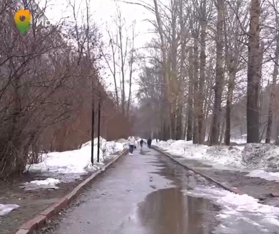 Губернатор Томской области остался недоволен тем, как в городе убирают снег. Фото: Скриншот из видео с официального Телеграм-канала В. Мазура