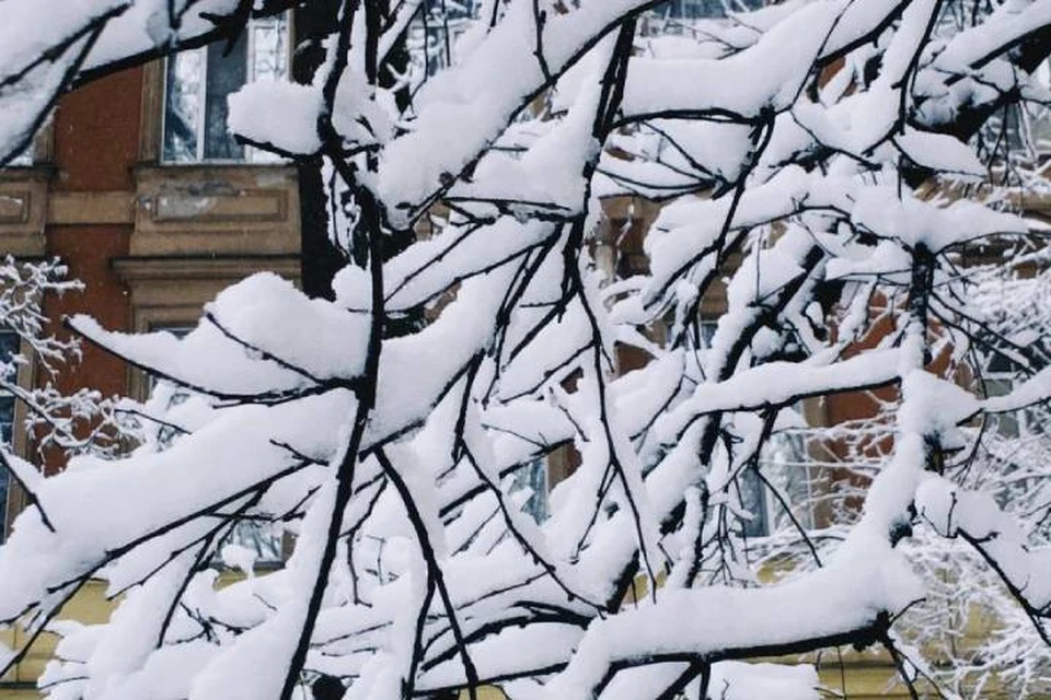 Снегопад закончится в Петербурге 30 марта
