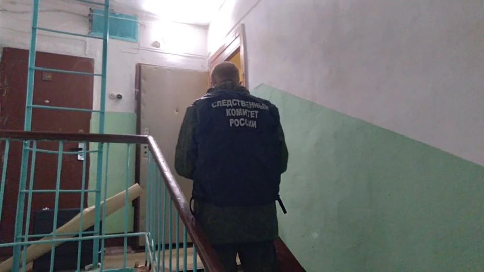 Фото: пресс-служба СУ СК России по Костромской области