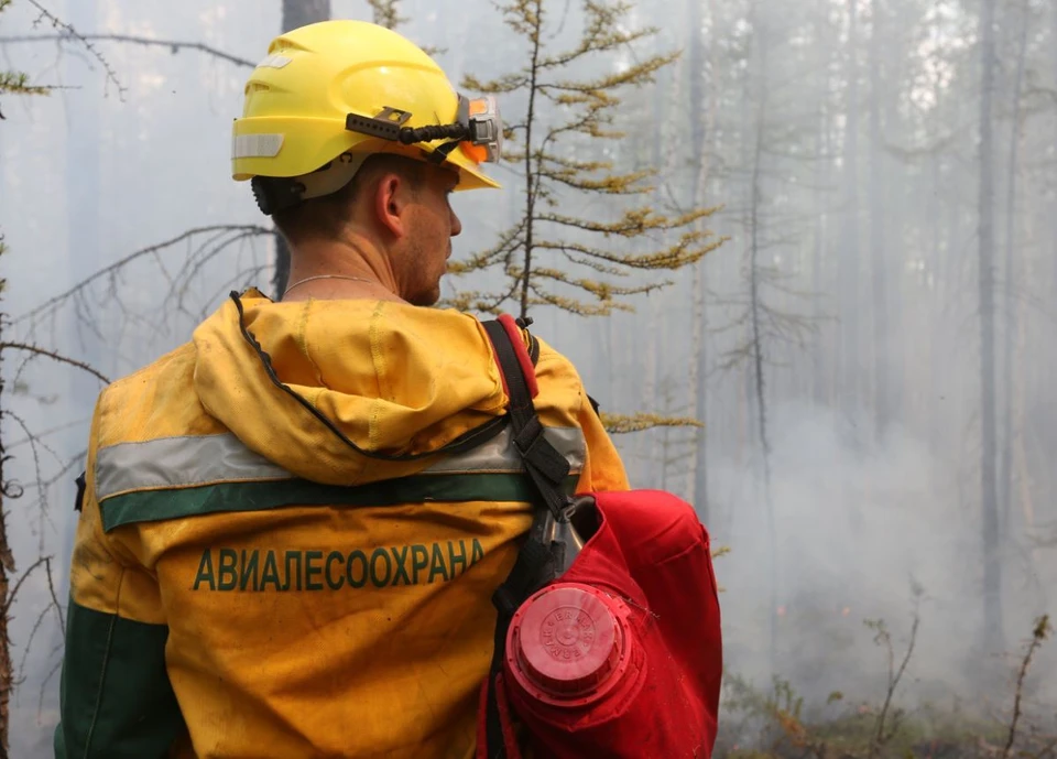 Специалисты Амурской Авиалесоохраны отправились тушить лесные пожары в ЕАО Фото: Авиалесоохрана