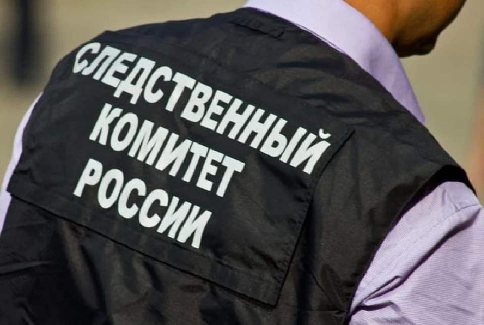 Следователи установят круг лиц, причастных к преступлениям. Фото: СК РФ