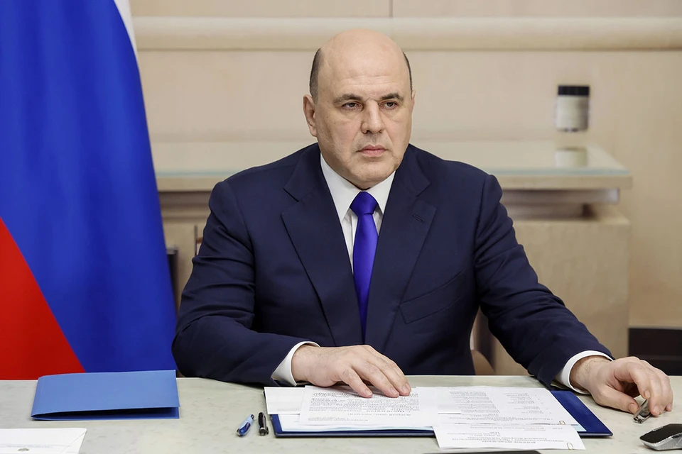 Правительство России выделит 10 млрд рублей на поддержку аграриев в 2023 году. Фото: Дмитрий Астахов/POOL/ТАСС