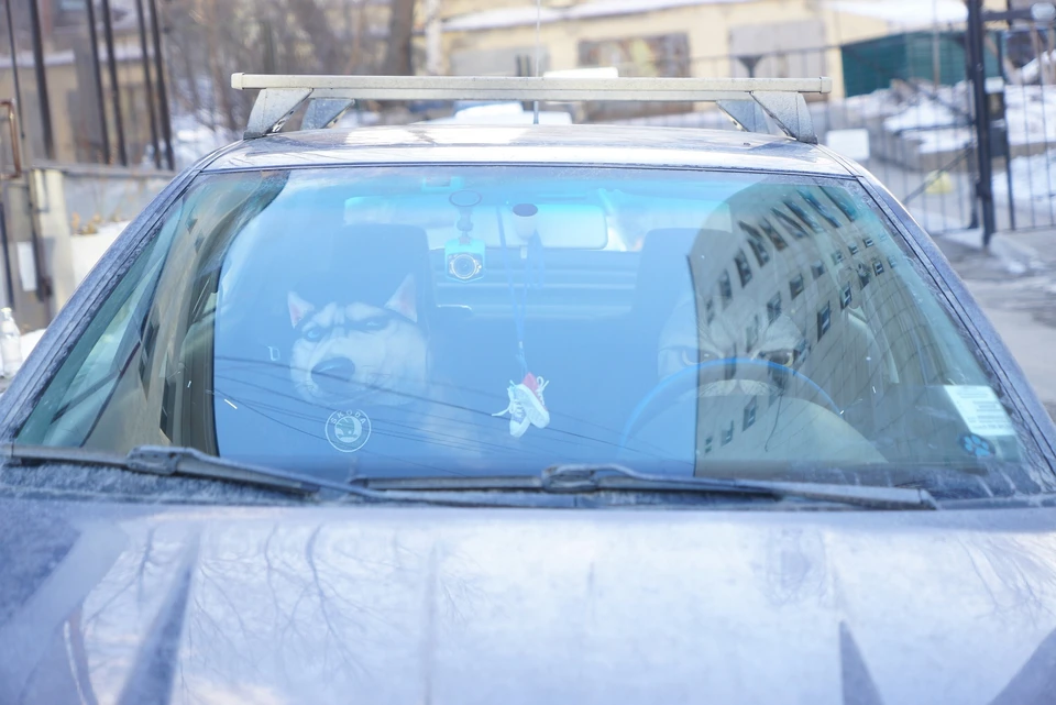 Восемь пострадавших автовладельцев обратились в полицию