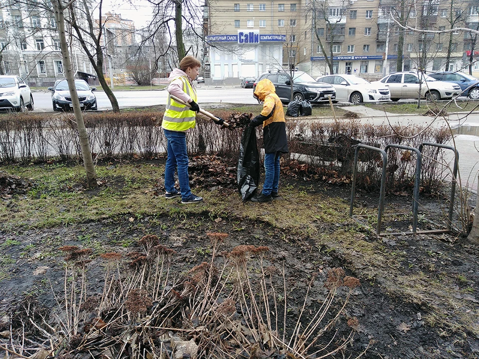 Благоустройство двора. Благоустройство дворовых территорий. Облагораживание территории. Месячник по благоустройству.