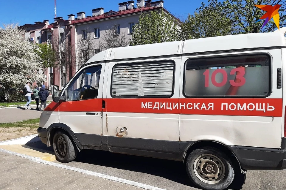 В Могилевском районе двухлетнего ребенка ударила копытом лошадь. Фото: архив «КП»