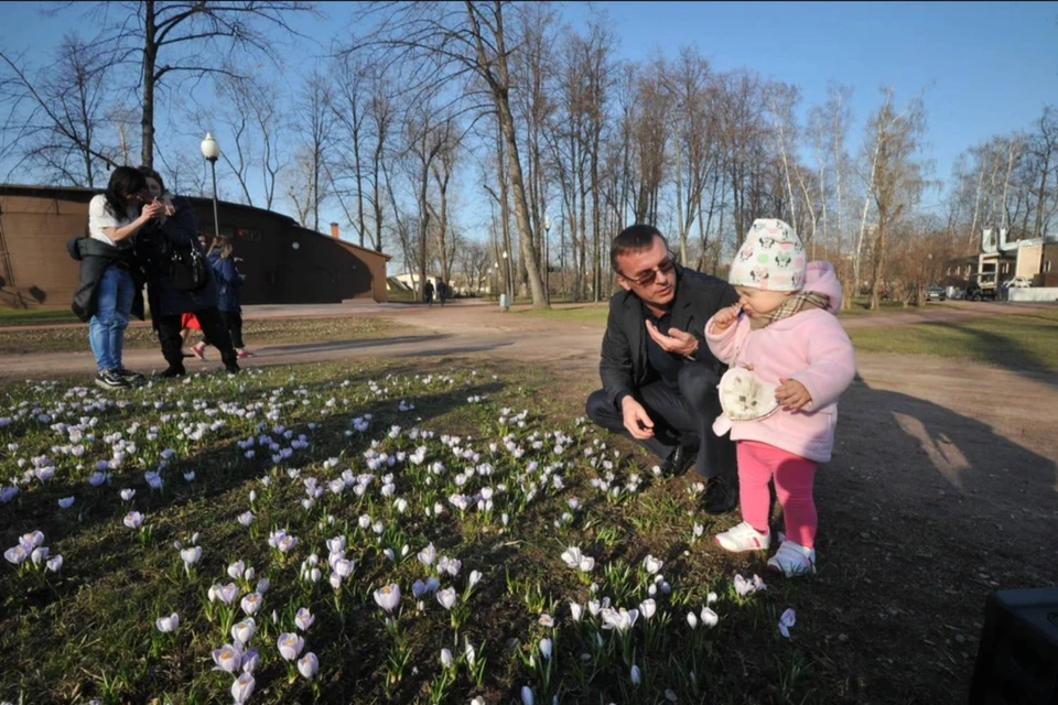 Самая высокая температура 4 апреля в Нижегородской области была зафиксирована в 1990 году.