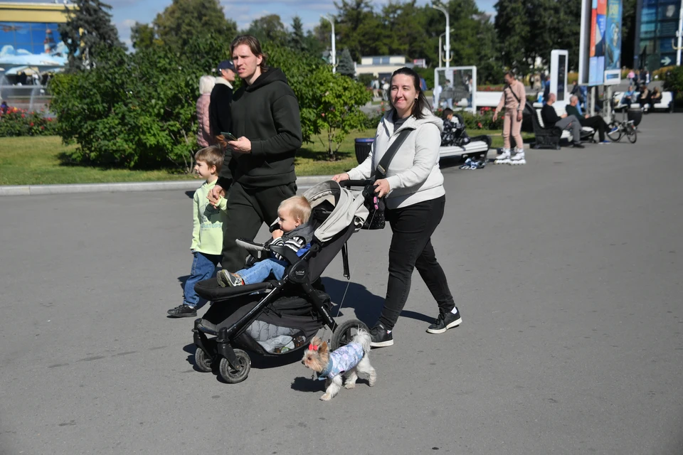 В Ульяновской области родители 32 тысяч детей получат единые пособия