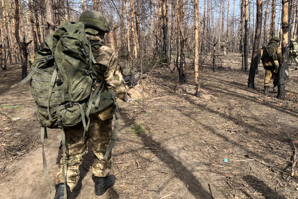 Чтобы получить льготы, кировчанам необходимо обратиться в МФЦ для оформления удостоверения.