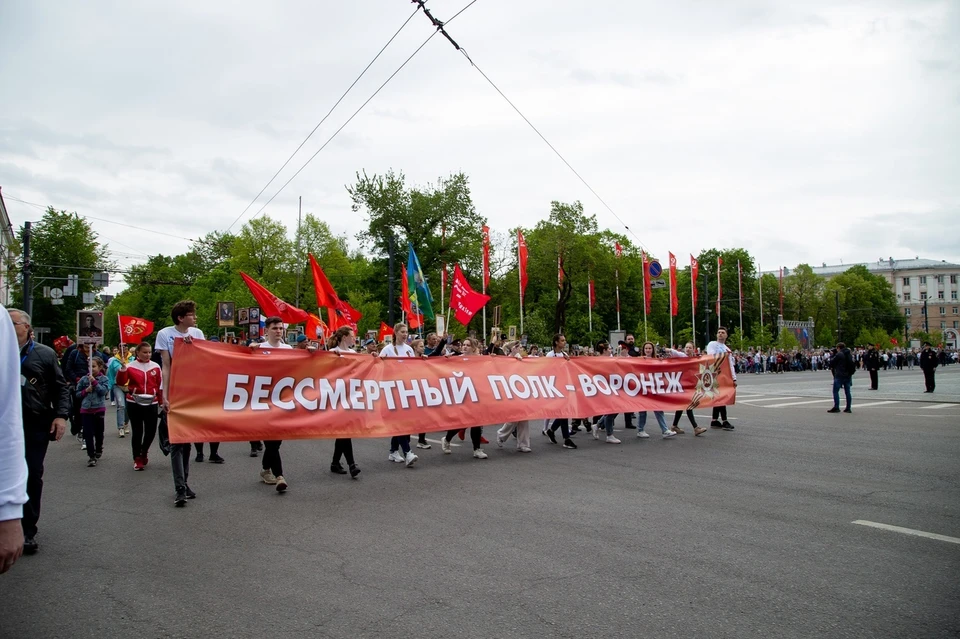 Организация шествия бессмертного полка