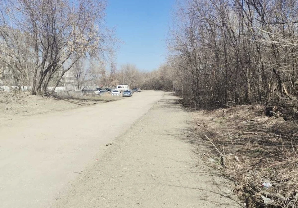 Согласно плану пешеходную дорожку по улице Земеца продлят от улицы Литвинова до улицы Победы.
