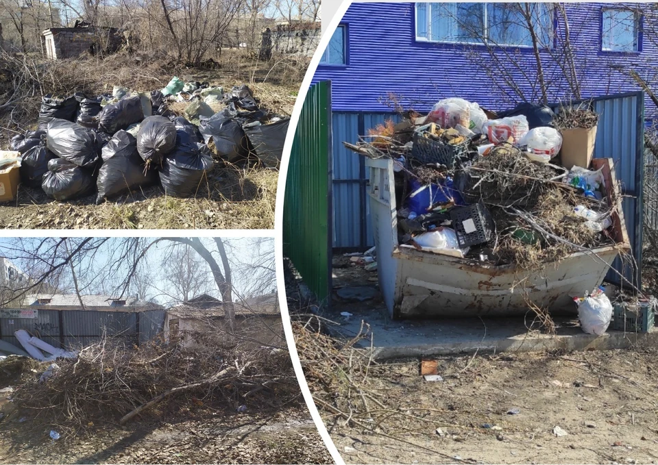 Фото: соцсети.