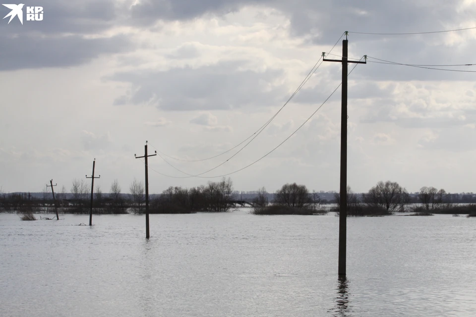 В пойме у села Мурмино уровень воды постепенно снижается.