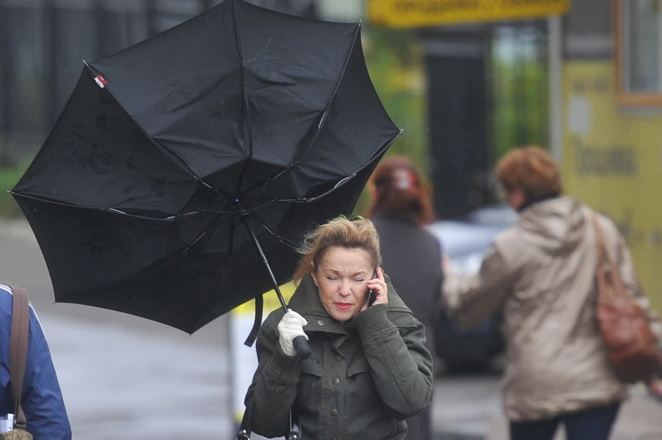 Ветер до 20 м/с ожидается в Нижегородской области 14 апреля.