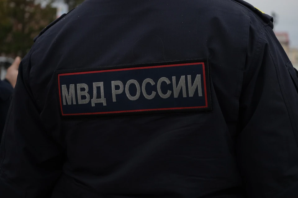 В поисках участвовали волонтеры «ЛизаАлерт» и сотрудники полиции
