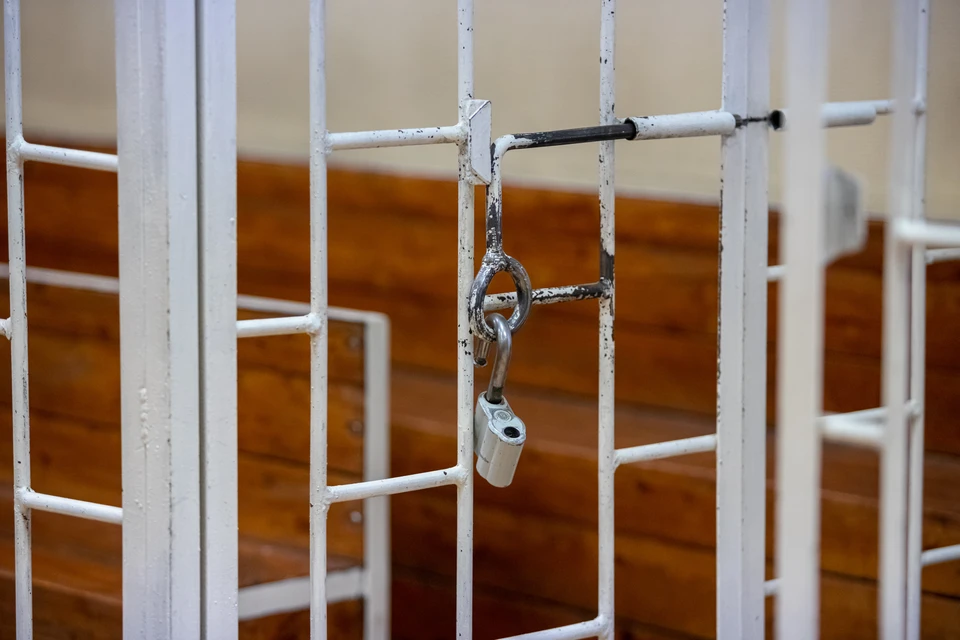 В Красноярске осудили пятую суррогатную мать за продажу новорожденного