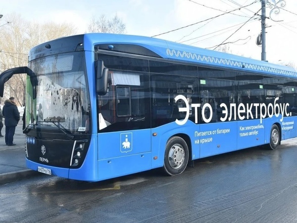 В Перми появится первый электробусный маршрут, а остановки станут чище -  KP.RU