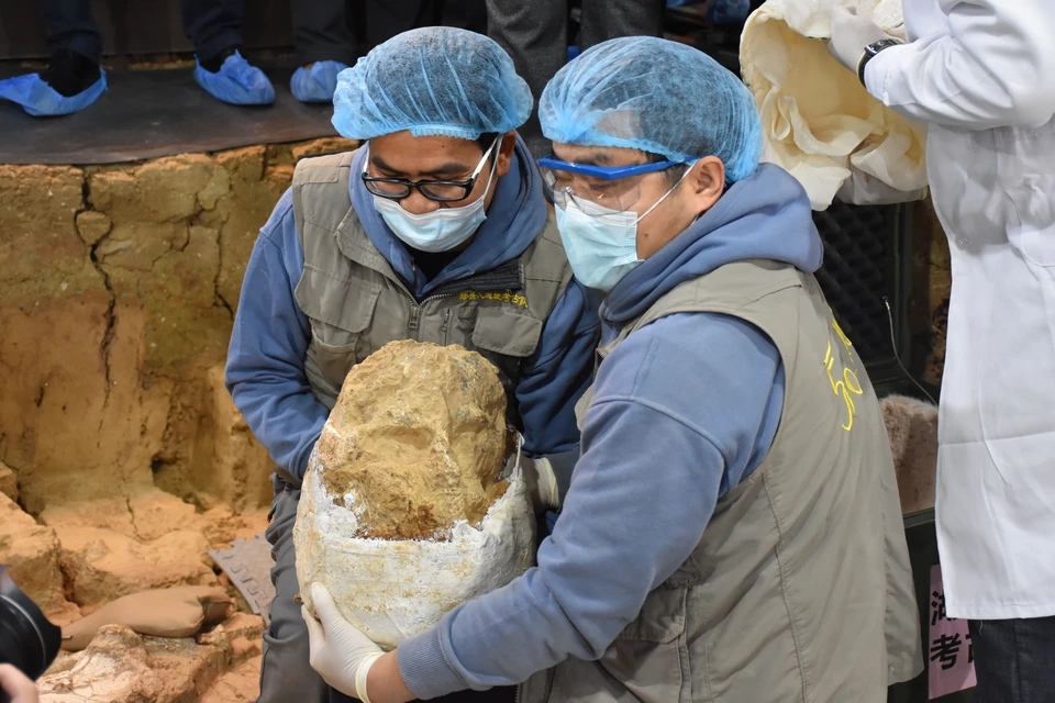 Археологи несут окаменелый человеческий череп, найденный в Сюэтанлянцзы, провинция Хубэй.