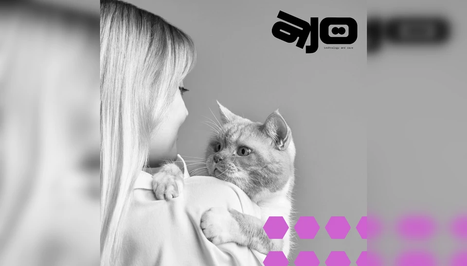 Фото: ajo-pet.ru