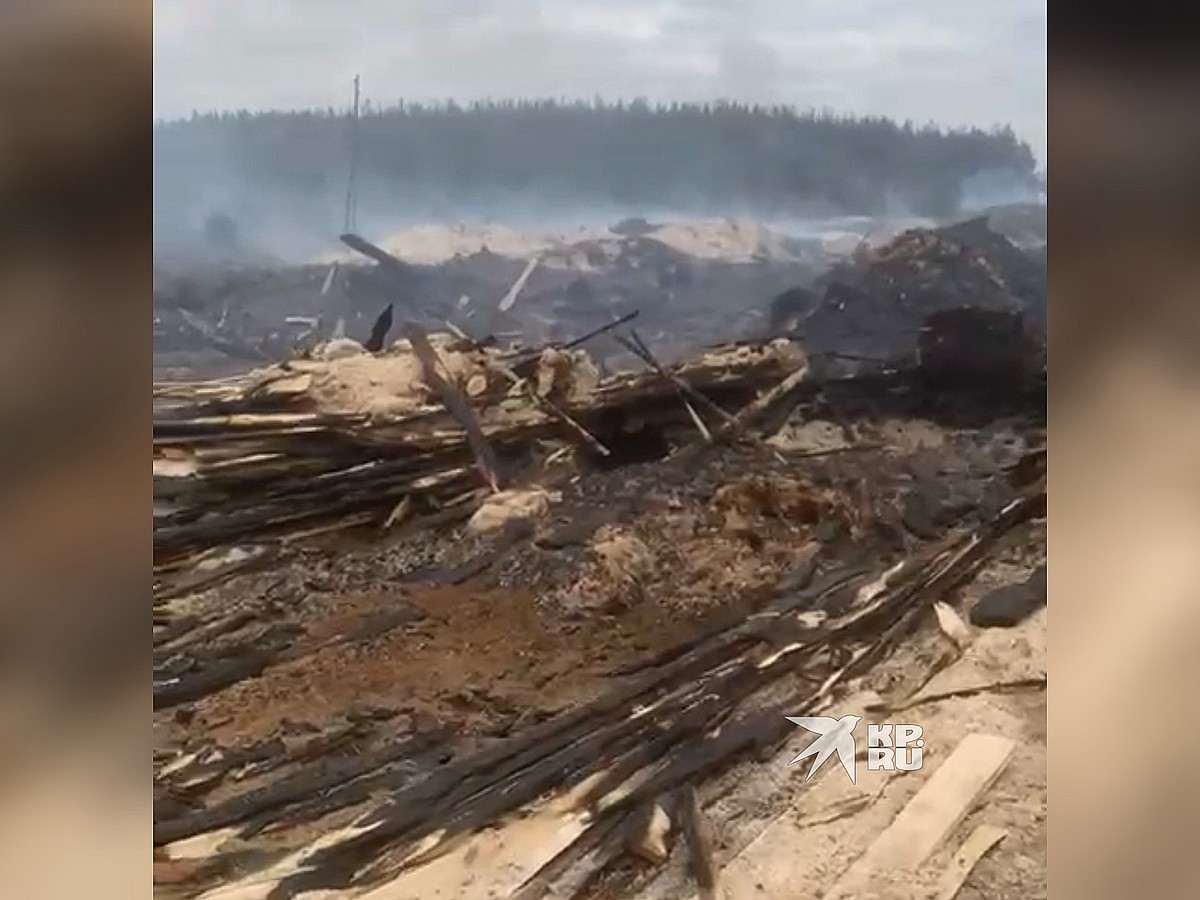 Появилось видео с лесопилки в Сосьве, где начался жуткий пожар - KP.RU