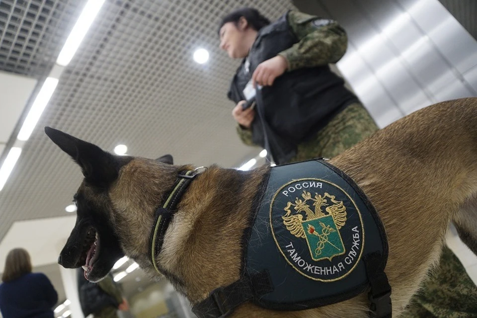 Суд изъял почти два миллиона рублей у иностранца в пользу государства в Хабаровске