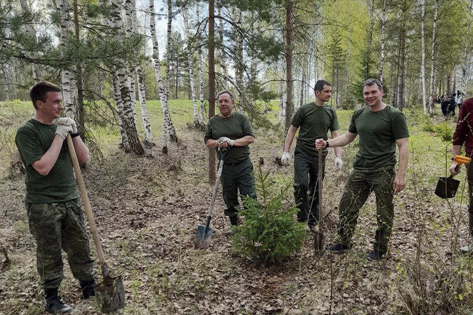 Участники акции высадили 78 саженцев ели европейской в честь приближающейся 78-й годовщины Победы Фото: Минлес Тверской области