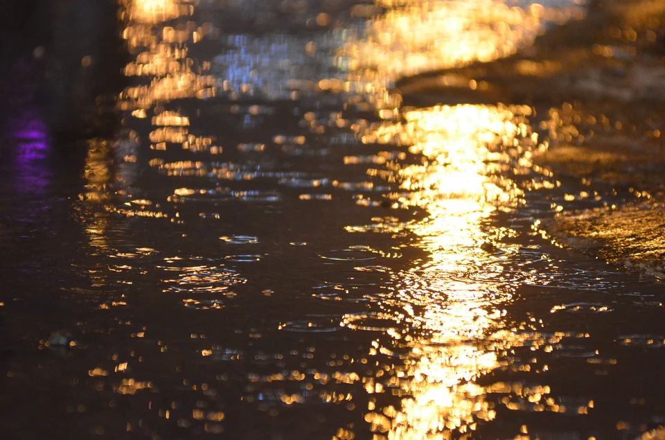 Доставайте зонтики: в Новосибирске 1 мая похолодает и пойдет снег с ...