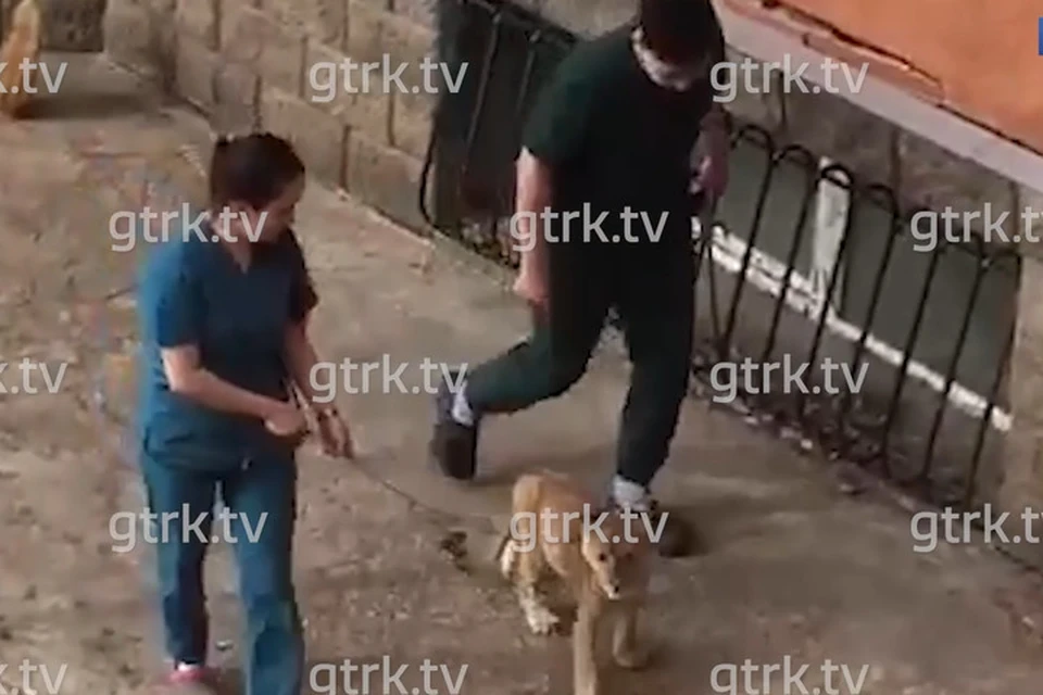 Фото: ГТРК "Башкортостан"